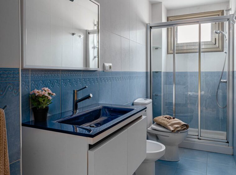Cuarto de baño azul con ducha en piso Rúa Betanzos_ maceta sobre lavabo y toalla sobre wc con flores secas