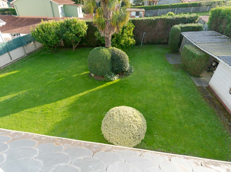 ardín con palmera, césped y setos en una casa en venta en Sada con amplio espacio exterior.