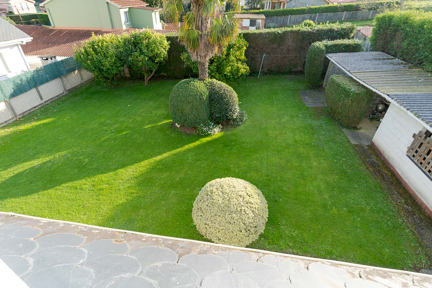 ardín con palmera, césped y setos en una casa en venta en Sada con amplio espacio exterior.