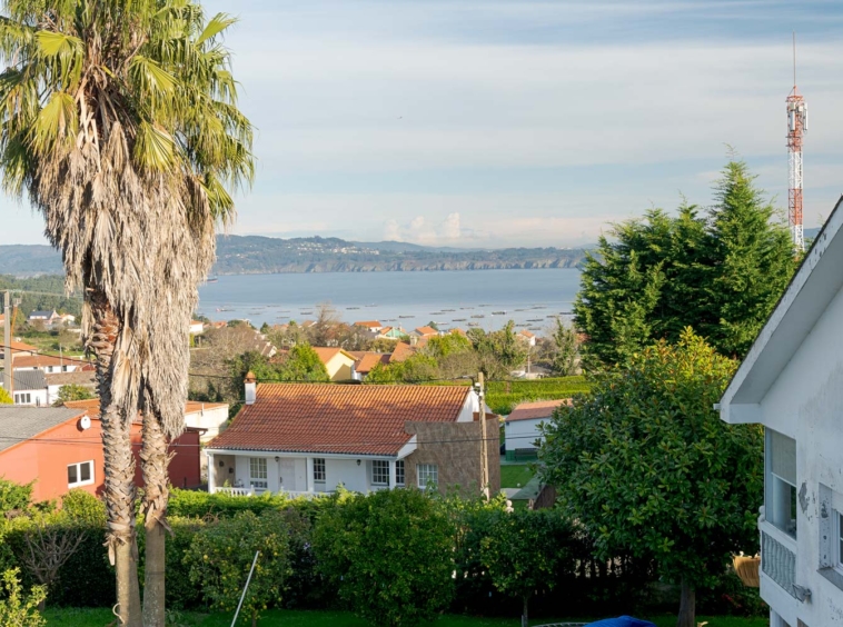 Casa en venta en Sada con vistas panorámicas al mar y palmera decorativa en el jardín.