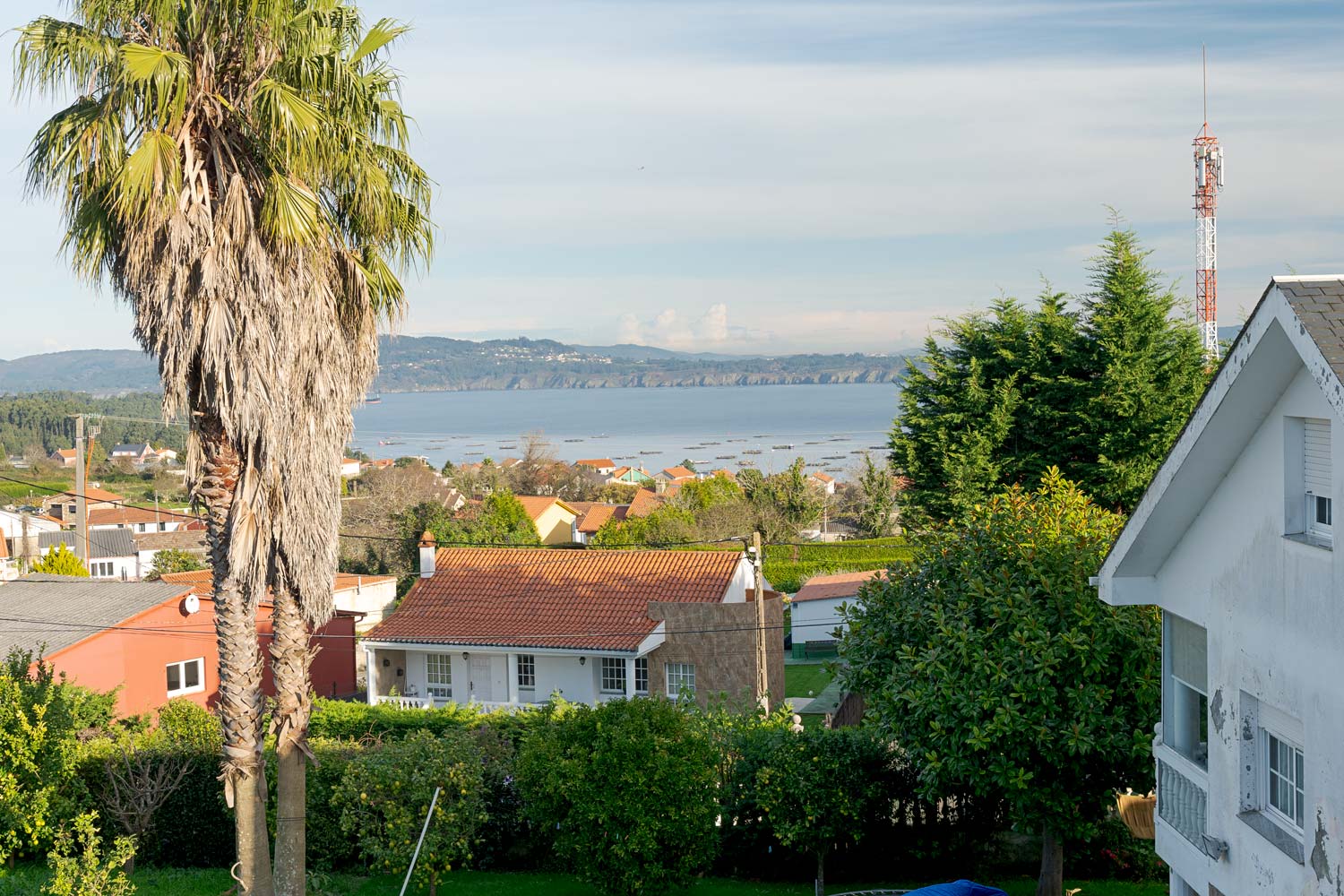 Casa en venta en Sada con vistas panorámicas al mar y palmera decorativa en el jardín.